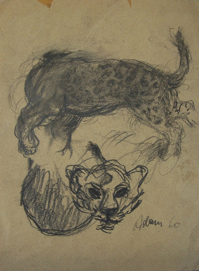 Szkice z zoo